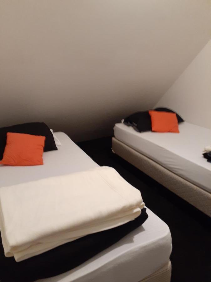 Bouncing Lamb Backpackers Vandrehjem Nelson Eksteriør billede